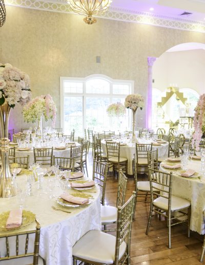 DSC_0571-400x516 The Palacio Package