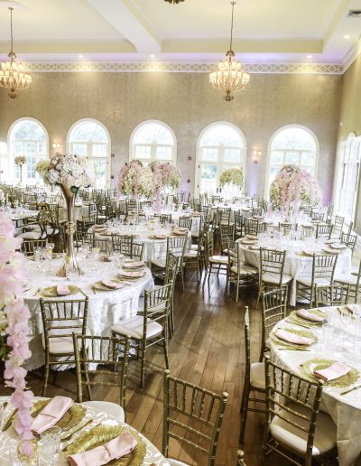 DSC_0579-400x516 The Palacio Package