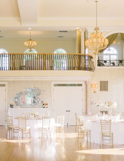 MLP-Mandi-Alex-Morais-Vineyards-Winery-Bealeton-Virginia-Wedding-721-400x516 The Palacio Package