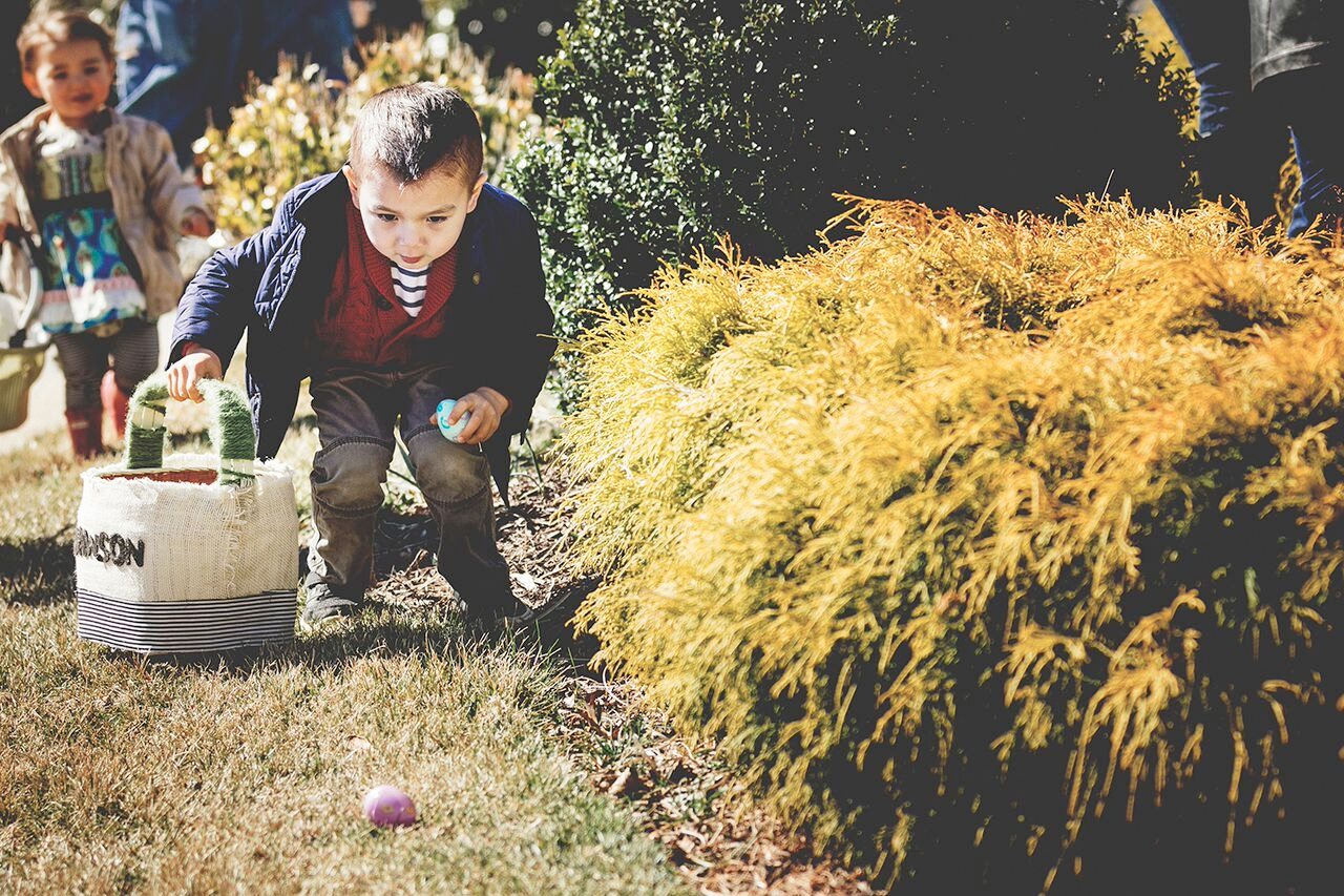 easter-morais4 Easter Egg Hunt Extravaganza easter-morais4 Easter Egg Hunt Extravaganza