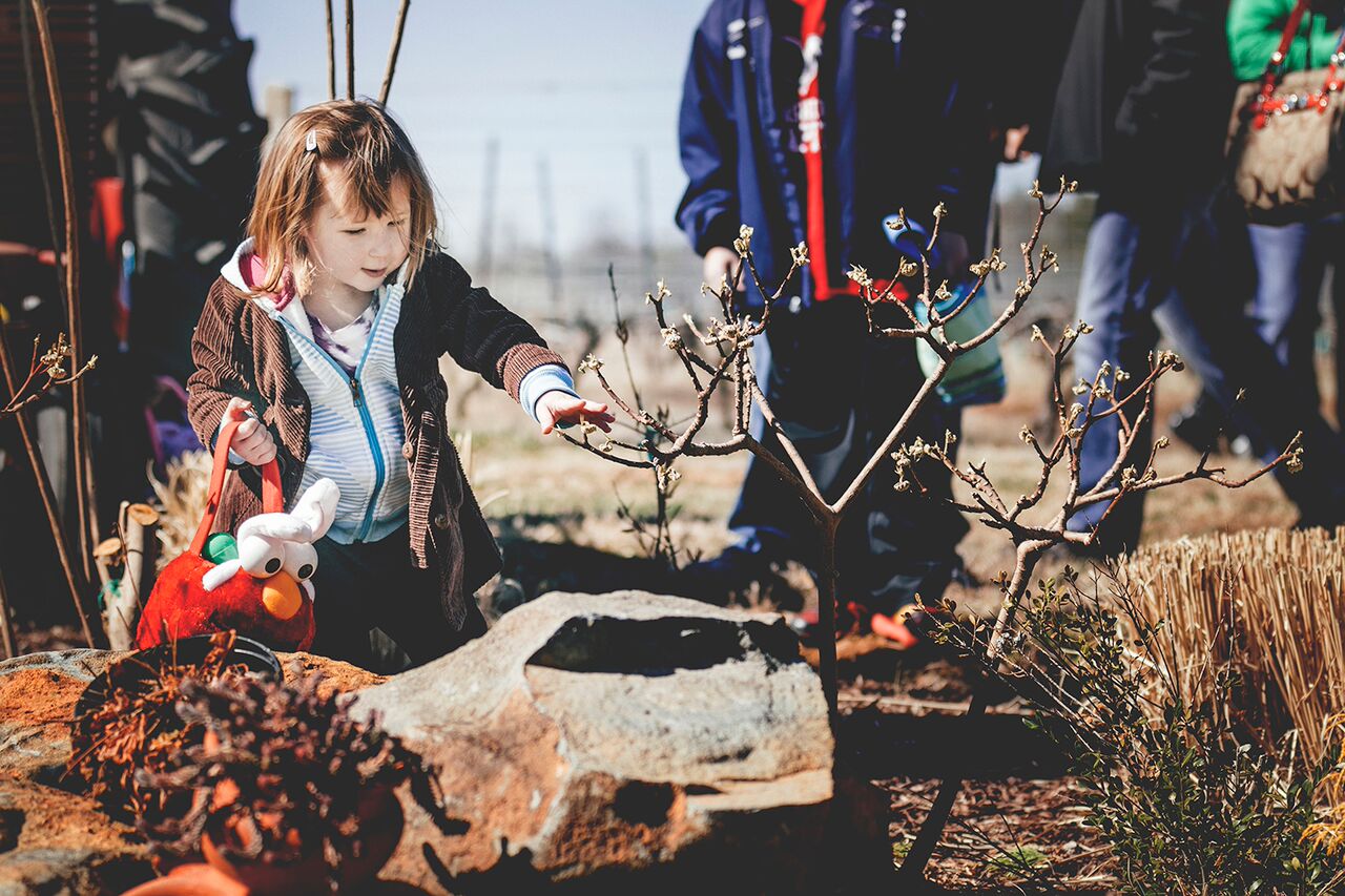 easter-morais5 Easter Egg Hunt Extravaganza easter-morais5 Easter Egg Hunt Extravaganza