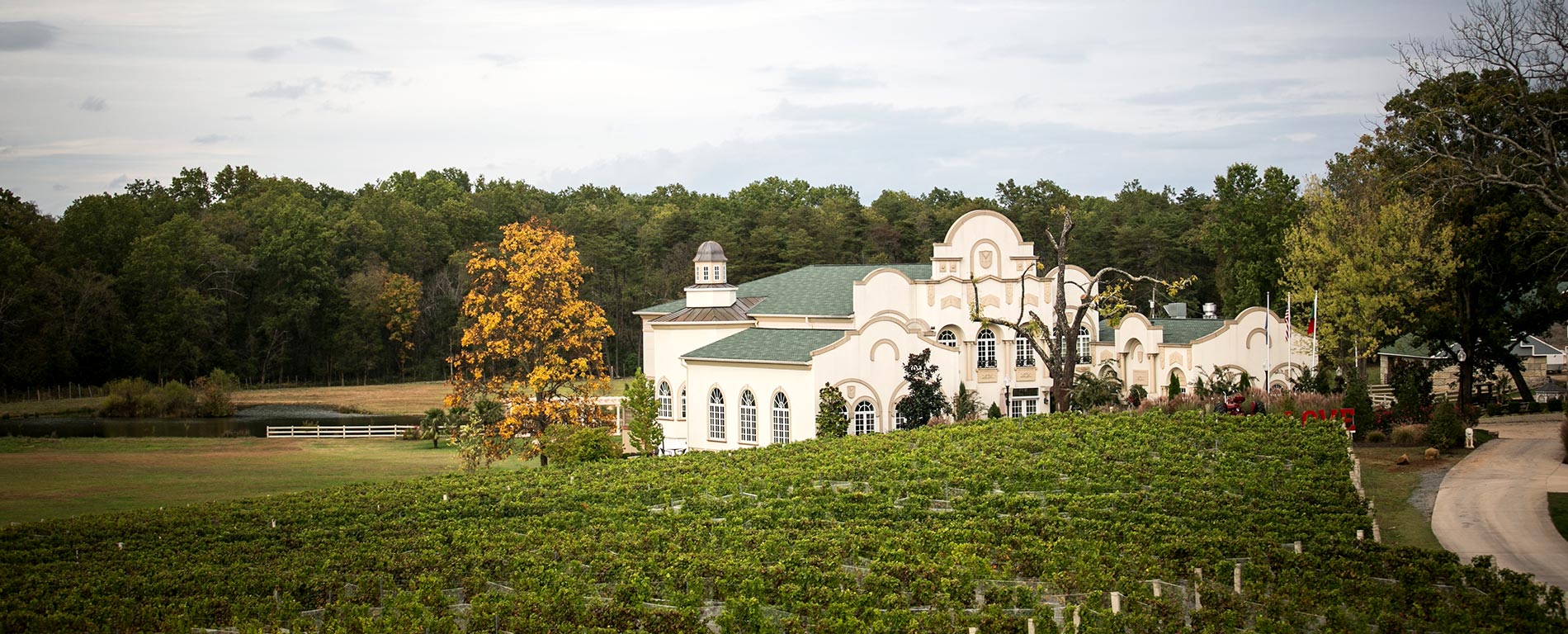 Morais Vineyards & Winery | Wine & Wedding Venue - Northern VA